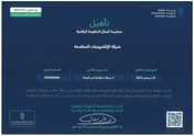 Certification of qualification for practicing digital government projects